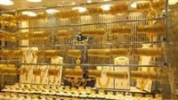 سعر الذهب اليوم الثلاثاء 11 أغسطس 2026.. عيار 21 يقفز 60 جنيهًا 