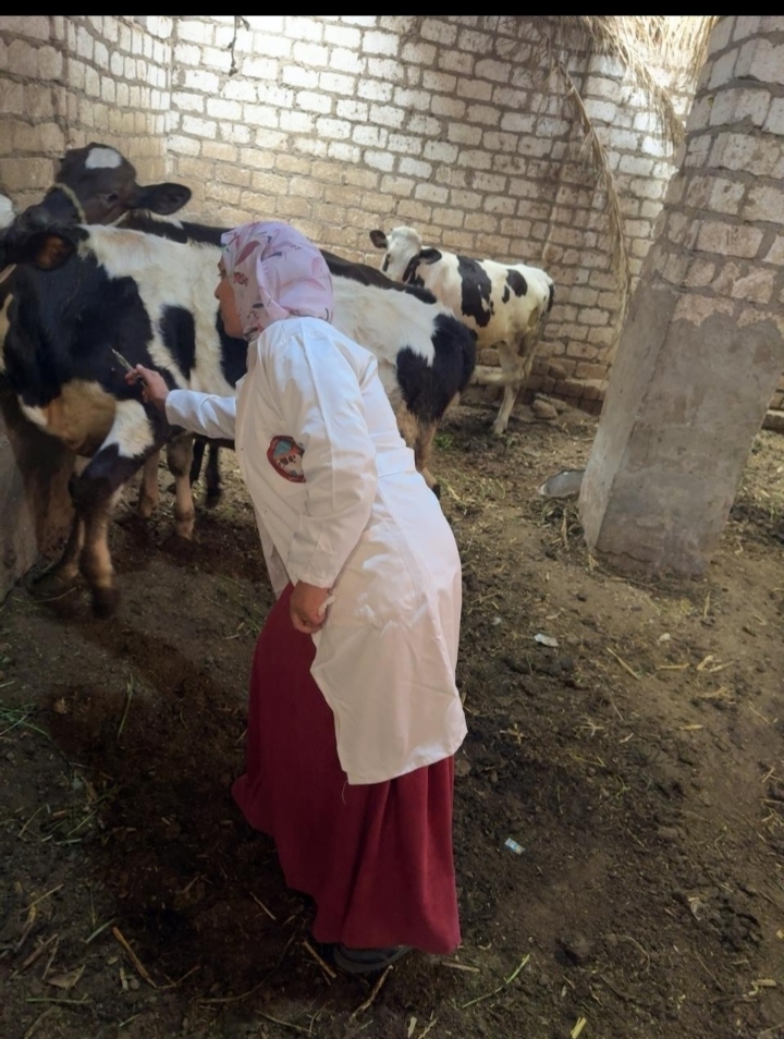 التحصين داخل المنازل&nbsp;