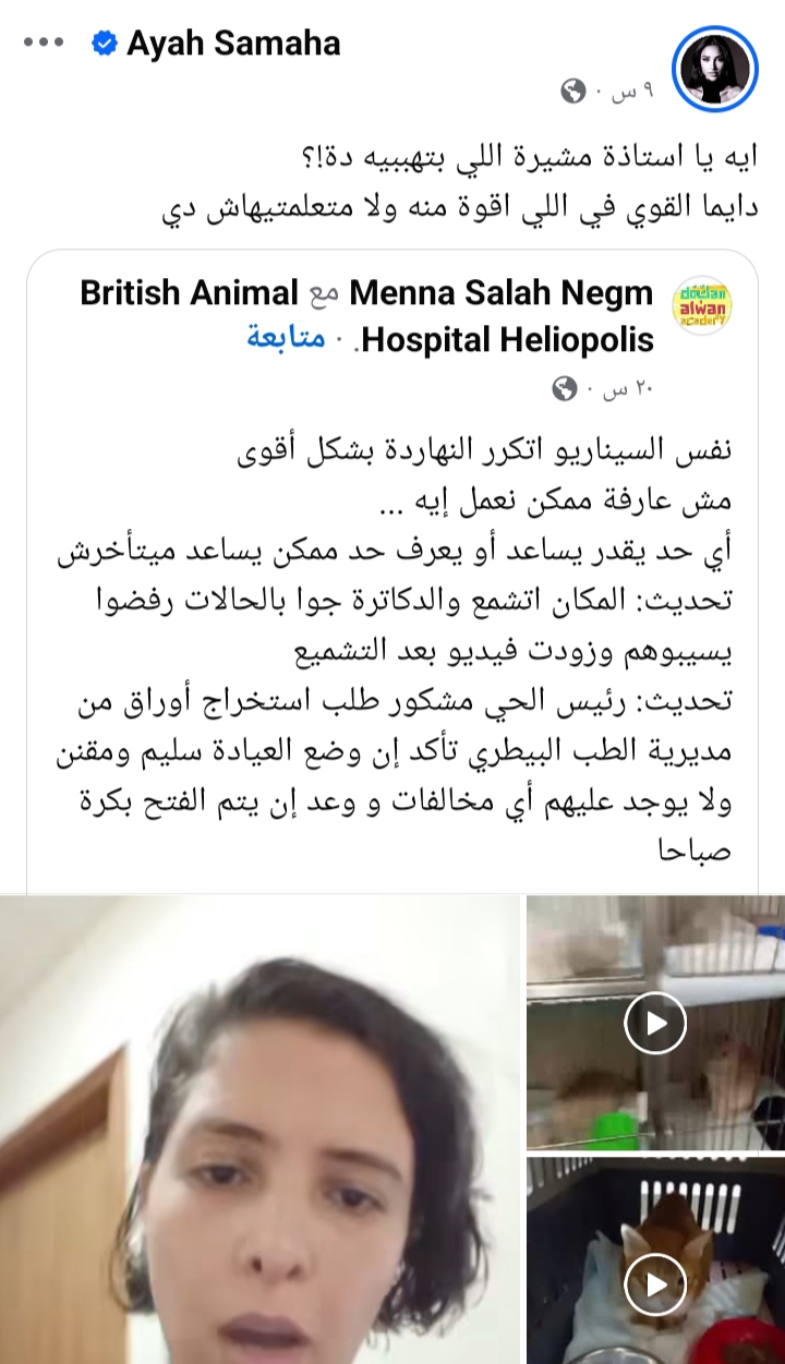آية سماحة تهاجم مشيرة إسماعيل