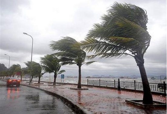 اسكندريه الان