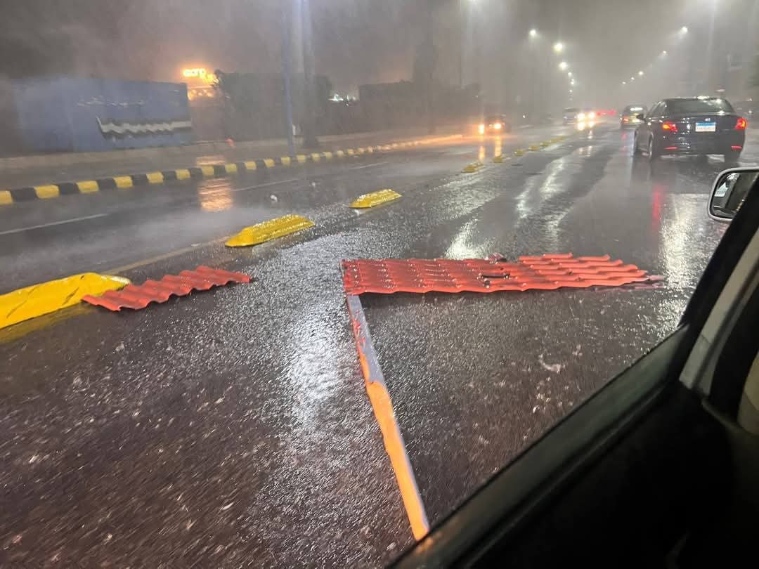 سيول الإسكندرية