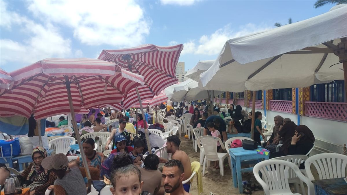 شواطئ الإسكندرية