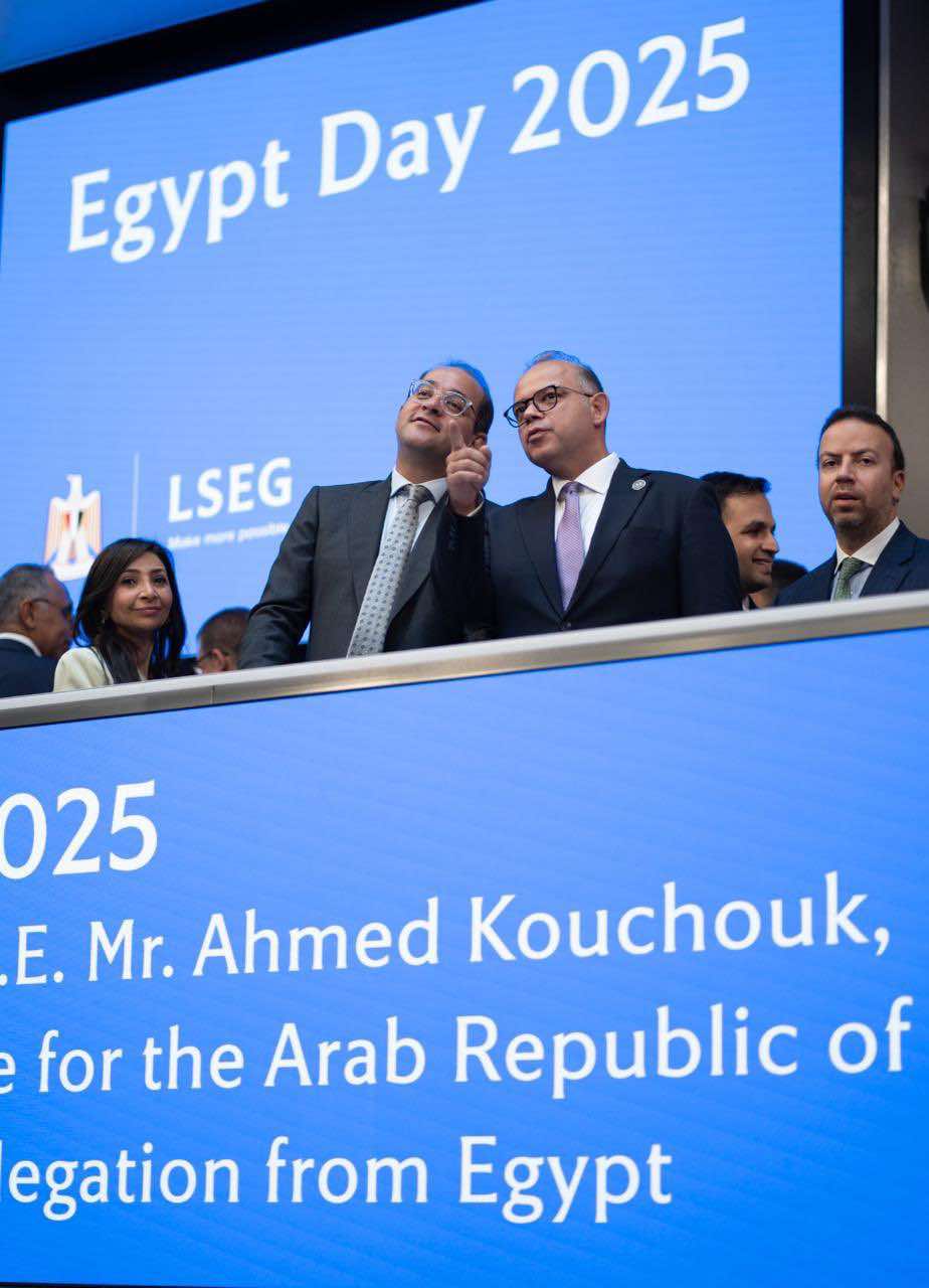 وزير المالية