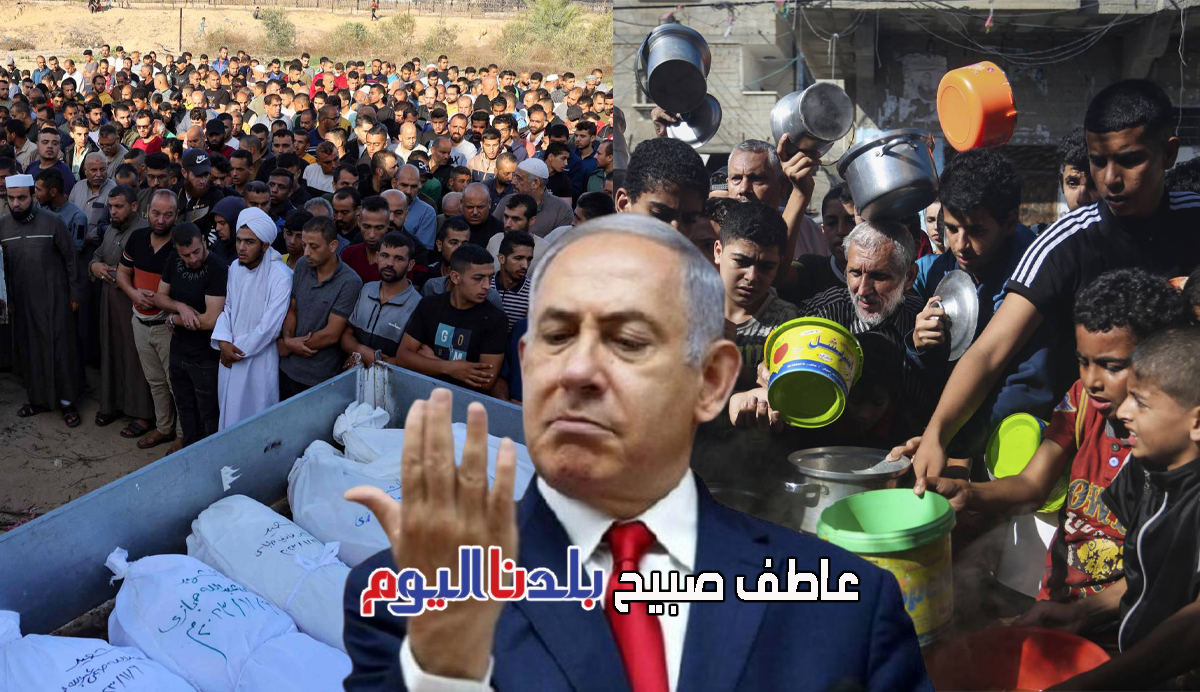 عدد شهداء غزة