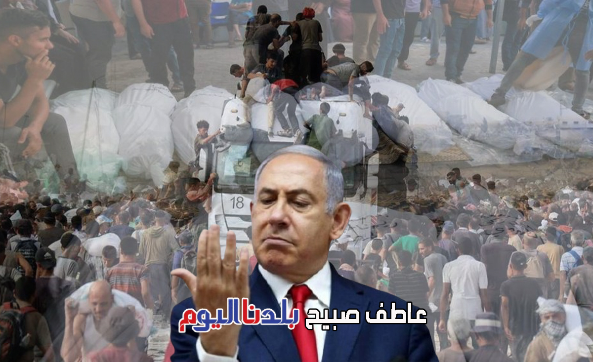 عدد شهداء غزة اليوم الثلاثاء 12-8-2025