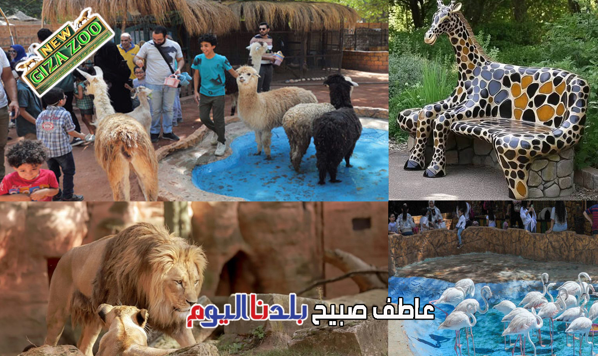 تطوير حديقة الحيوان بالجيزة