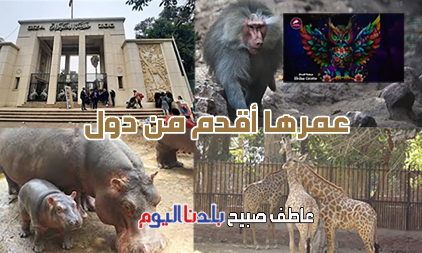 حديقة حيوان الجيزة