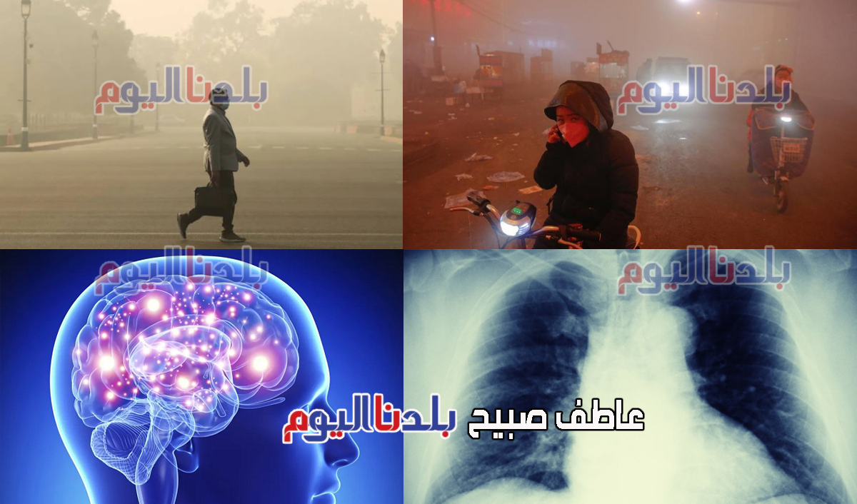 مخاطر استنشاق الجسيمات البلاستيكية الدقيقة