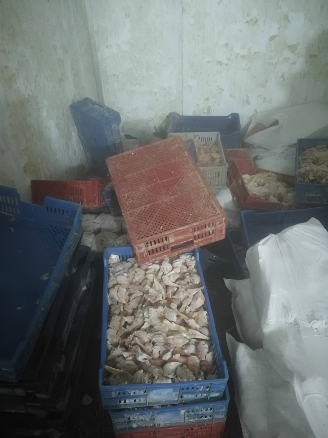 حملات بيطرية مكثفة بالقليوبية لضبط اللحوم والدواجن غير الصالحة وحماية صحة المواطنين