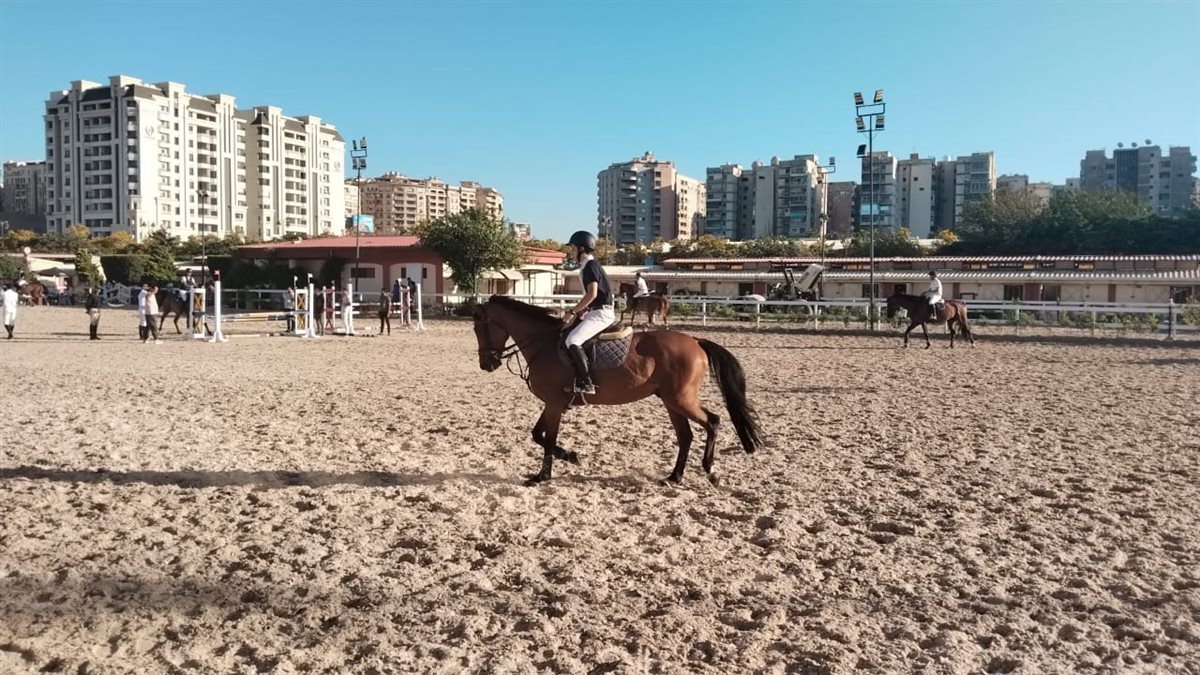 بطولة الجمهورية للفروسية تنطلق من نادي سموحة بالإسكندرية وسط أجواء احتفالية