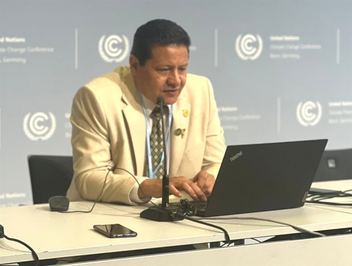 السفير الدكتور مصطفى السيد الشربيني