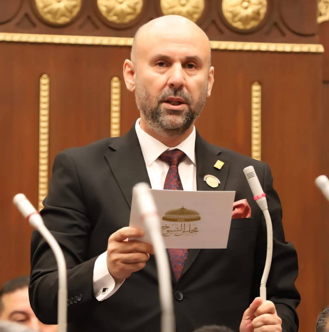 النائب باسم كامل