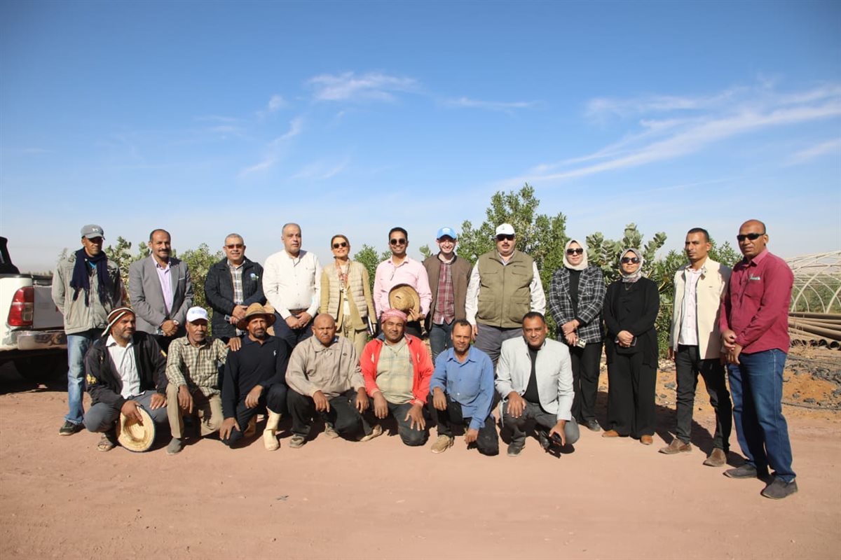 الزراعة واليونسكو تختتمان جولة موسعة بالوادي الجديد لدعم التنوع البيولوجي والزراعي المستدام، مع بحث تحديات الموارد الطبيعية، وتنفيذ برامج تدريبية، وتعزيز سلاسل القيمة للتمور وحفظ التراث البيئي.