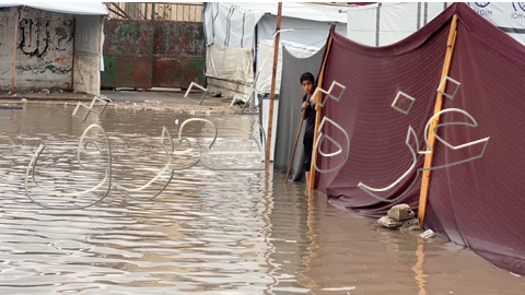 معاناة النازحين