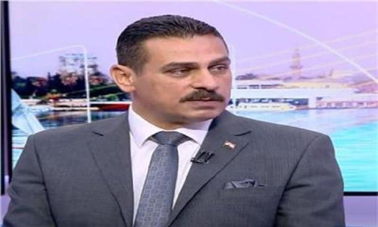 الدكتور محمد البهواشي، الخبير الاقتصادي