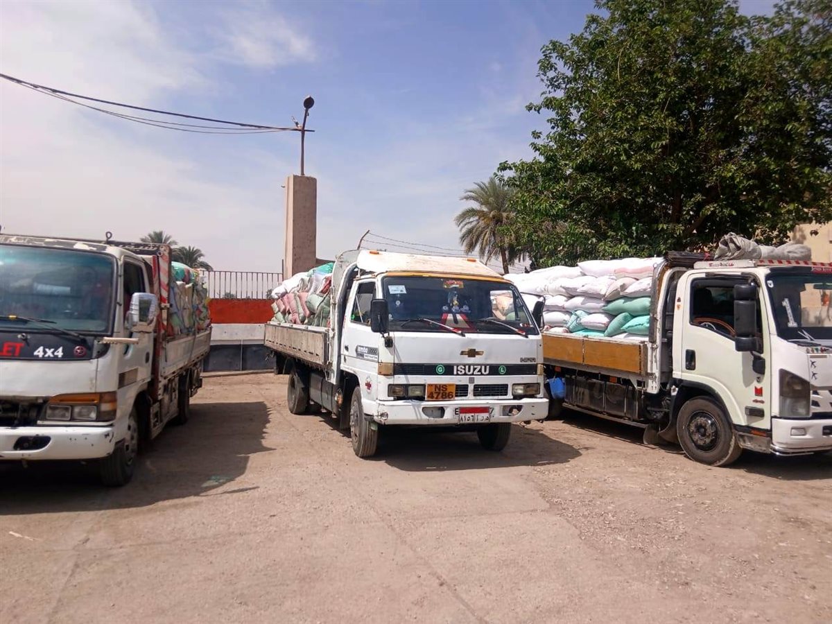 جانب من توريد القمح