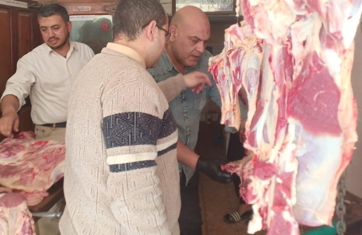 ضبط ذبيحة غير صالحة للاستهلاك الآدمي داخل محل جزارة ببنها