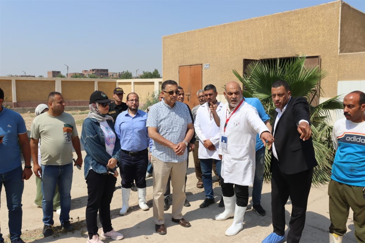 محافظ القليوبية يواصل جولاته الميدانية على المجازر ويتفقد مجازر الخانكة والقلج