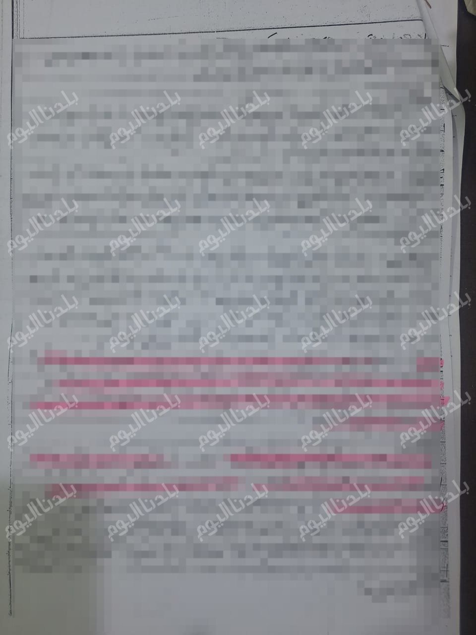 <strong>تأخير تشكيل لجنة مناقشة معيدة بقسم اللغة العربية </strong>