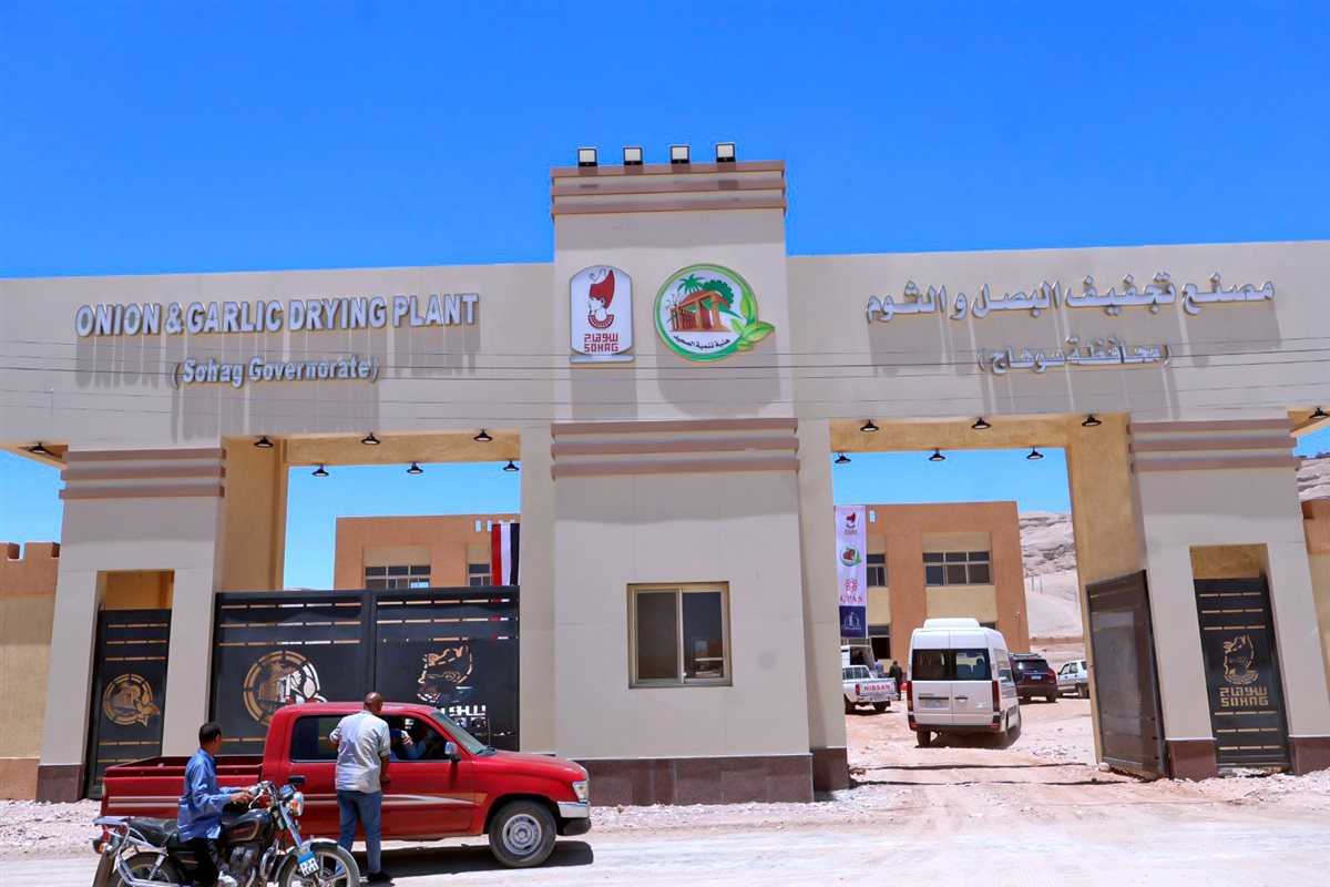 مصنع تجفيف البصل&nbsp;