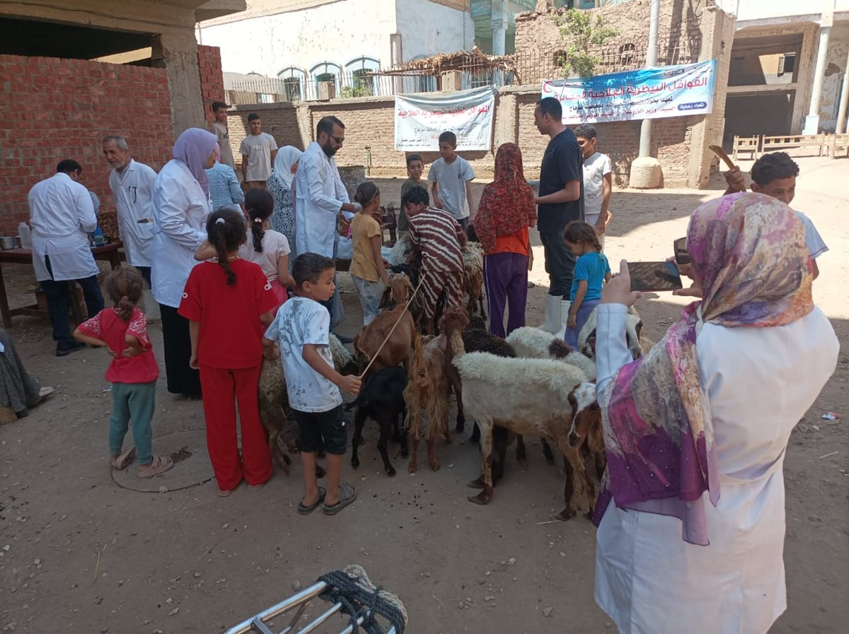 الأطباء البيطريين أثناء القافلة&nbsp;