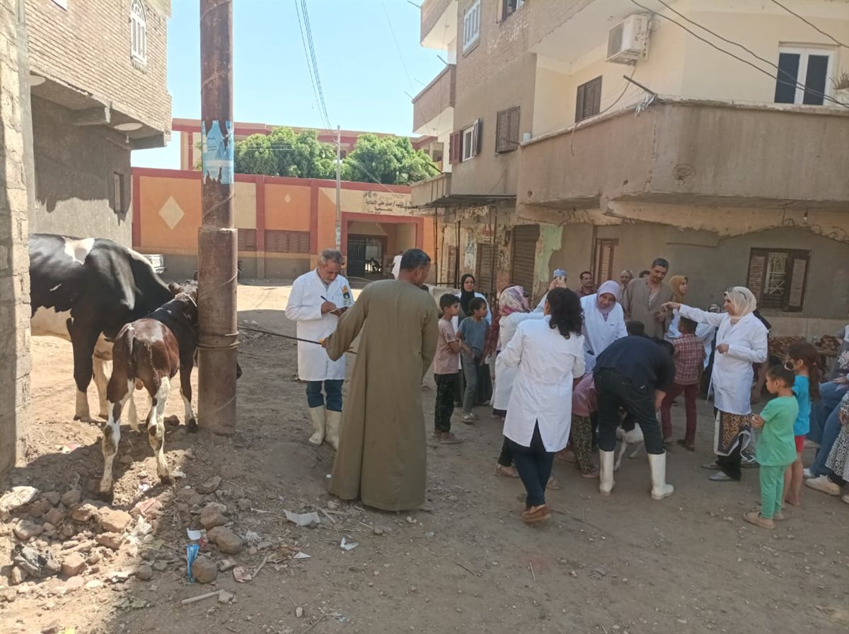 اثناء تويع الكف الطب على &nbsp;المواشي أثناء الحملة&nbsp;