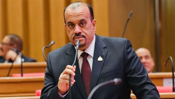<strong>إيهاب إمام، عضو لجنة السياحة والطيران المدني بمجلس النواب</strong>