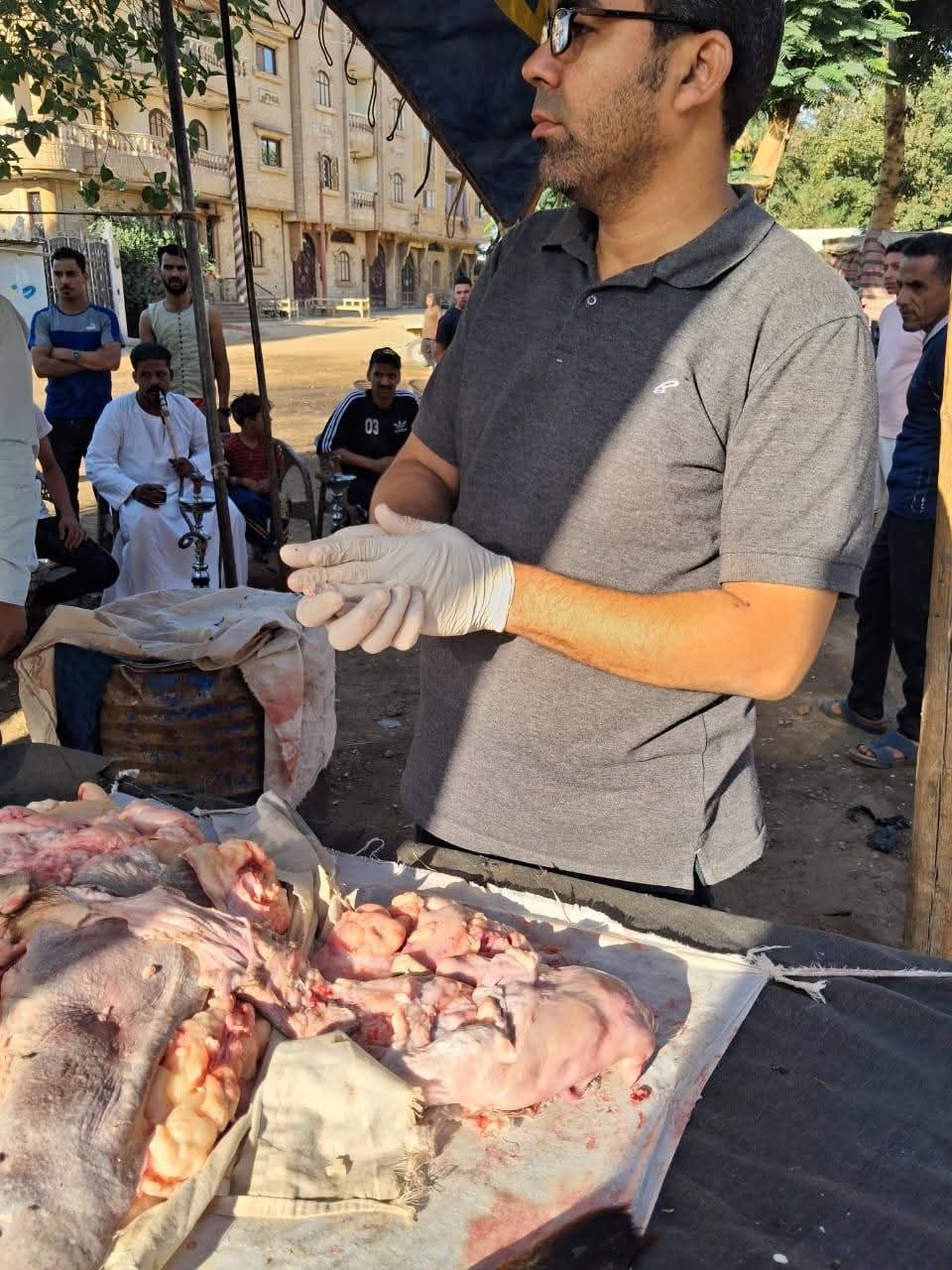 ضمن حملات التفتيش على اللحوم