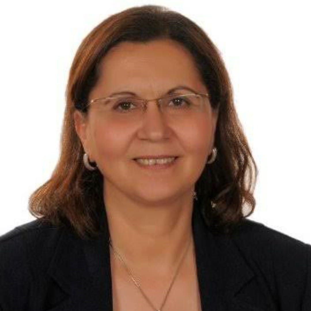 <strong>الدكتور عالية المهدي العميد الأسبق لكلية الاقتصاد والعلوم السياسية بجامعة القاهرة</strong>
