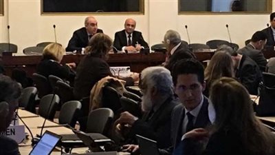 عمر مروان: مصر تحرص على التزاماتها الدولية في حقوق الإنسان