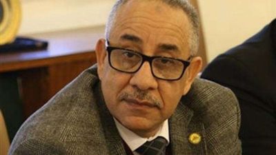 ”طلعت خليل”: مشروع قانون الجمارك الجديد لا يهدف لرفع الأسعار