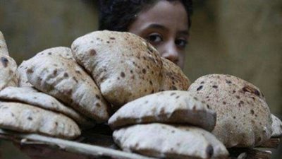 خبير اقتصادي: الزيادة السكانية سبب الفجوة الغذائية في مصر