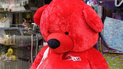 الشارع المصري يحتفل بـ