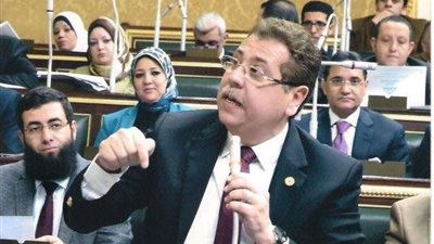 برلماني: مشاكل القطاع العام واضحة وحلولها متاحة