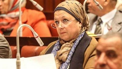 ماجدة نصر: المسئول عن فشل محو الأمية أدارتها الخاطئة