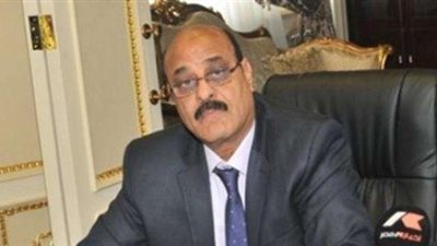 برلماني يؤيد مشروع تجريم إهانة الرموز التاريخية