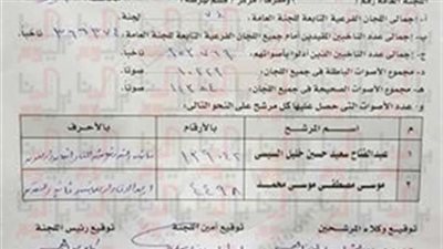 السيسي يتقدم ب 139042 صوت مقابل 4498 صوت لموسى بلجنة 11 بالبحيرة