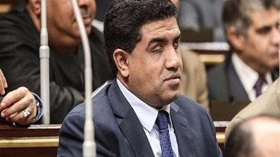 برلماني يطالب الحكومة بوضع آليات لملف «ذوي الإعاقة»