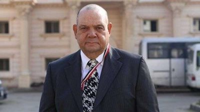 محمد ماهر: خطة الإصلاح عبرت بالاقتصاد المصري بر الأمان