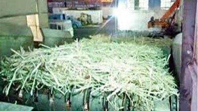 العاملون بمصانع سكر إدفو يؤيدون تعديل الدستور