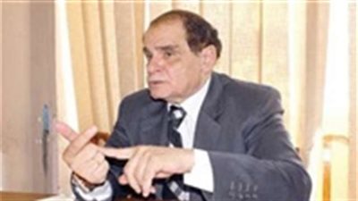 فقيه دستوري: الأحزاب المدرسة الحقيقية للعمل السياسي