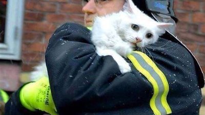 بالفيديو.. الحماية المدنية تنقذ 