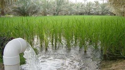 «خليل»: مشروع تطوير الري الحقلي البوابة الخلفية للفساد