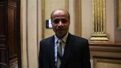 «برلمانى» الاقتصاد المصري يسير بخطى ثابتة في برنامج الإصلاح