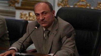 «رياضة البرلمان»: عودة الجمهور للملاعب في يد المشجعين