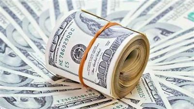 المالية: سعر الدولار في الموازنة الجديدة 17.5 جنيهًا