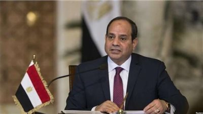 السيسي: كفاءة الجيش والشرطة تصب في مصلحة بناء الدولة