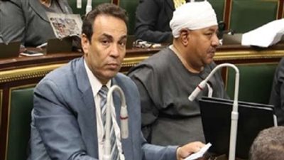 قيادى بـ«دعم مصر»: سنناقش تأخر إصدار اللوائح التنفيذية للقوانين