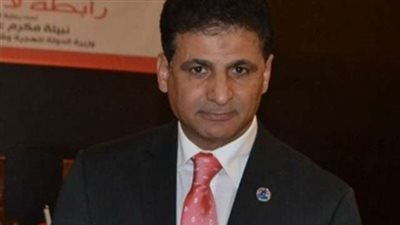 منسق «مواطن» بأوروبا: إقبال النمسا متوسط بانتخابات الرئاسة