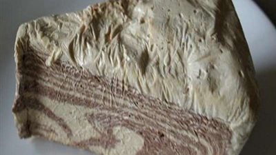 الأمن يداهم مصنع 